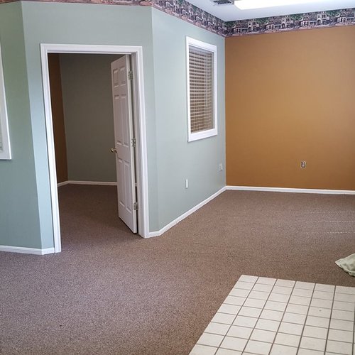 Green Carpet Co. Gallery